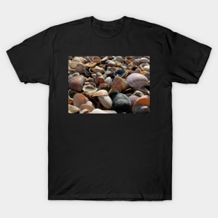 SEA SHELLS AND SAND DESIGN T-Shirt